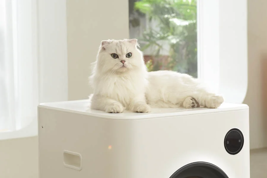 best cat litter robot